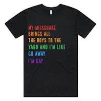 my milkshake brings all the boys to the yard and i'm gay t - shirt