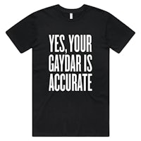 yes, your gaydar is accurate t-shirt